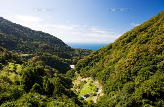 山間部